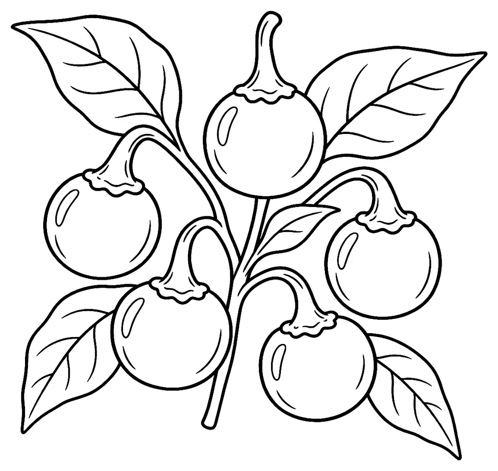 Coloriage de Dalle Khursani : dessin au trait noir à colorier