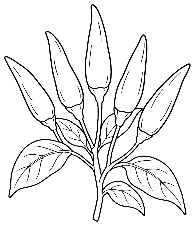 Coloriage de Facing heaven pepper : dessin au trait noir à colorier