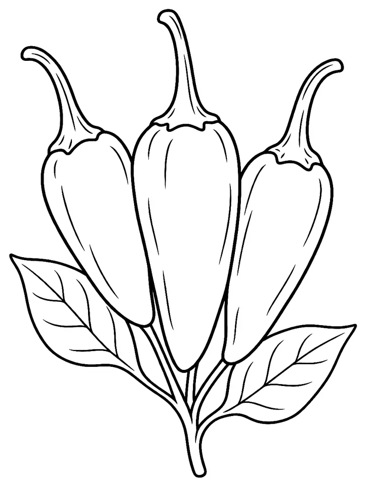 Coloriage de Piment de Fresno (piment ou poivron) : dessin au trait noir à colorier