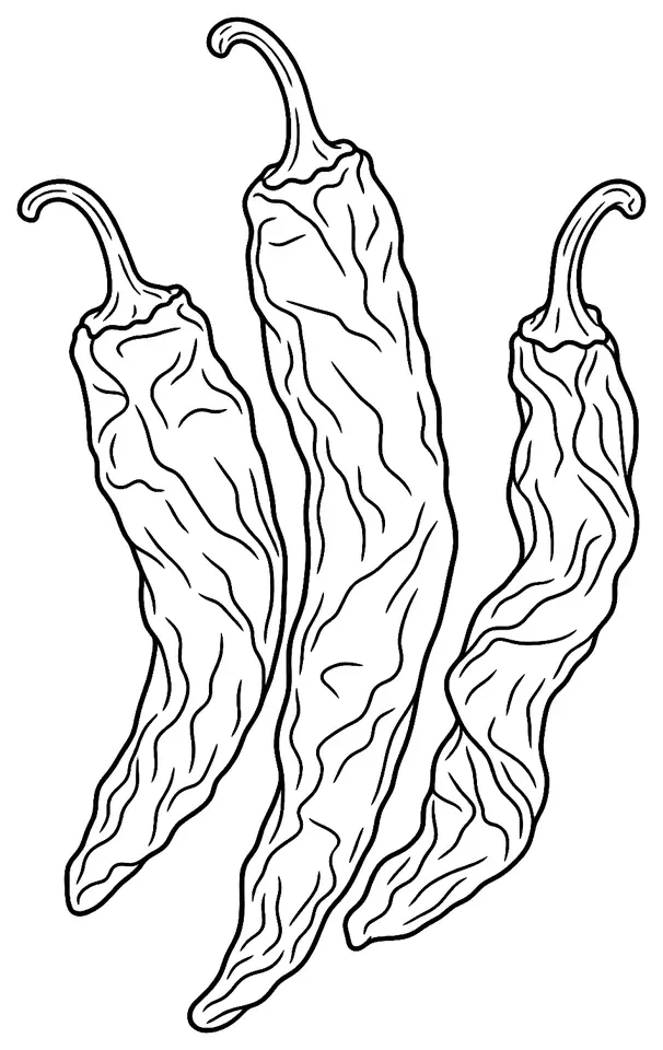 Coloriage de Pasilla : dessin au trait noir à colorier
