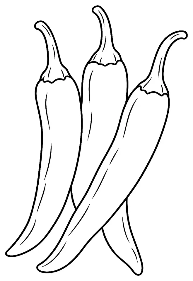 Coloriage de Piment Cheongyang : dessin au trait noir à colorier