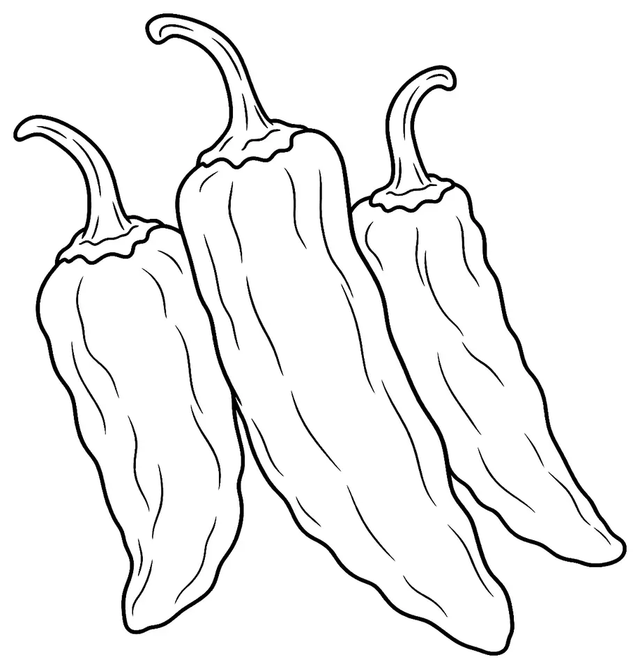 Coloriage de Piment d’Alep : dessin au trait noir à colorier