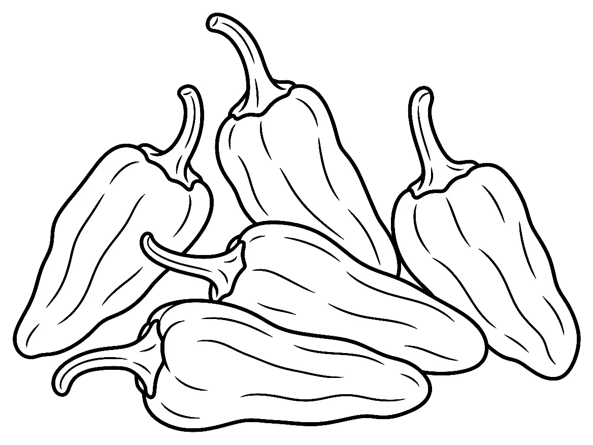 Coloriage de Piment de Padrón (piment ou poivron) : dessin au trait noir à colorier
