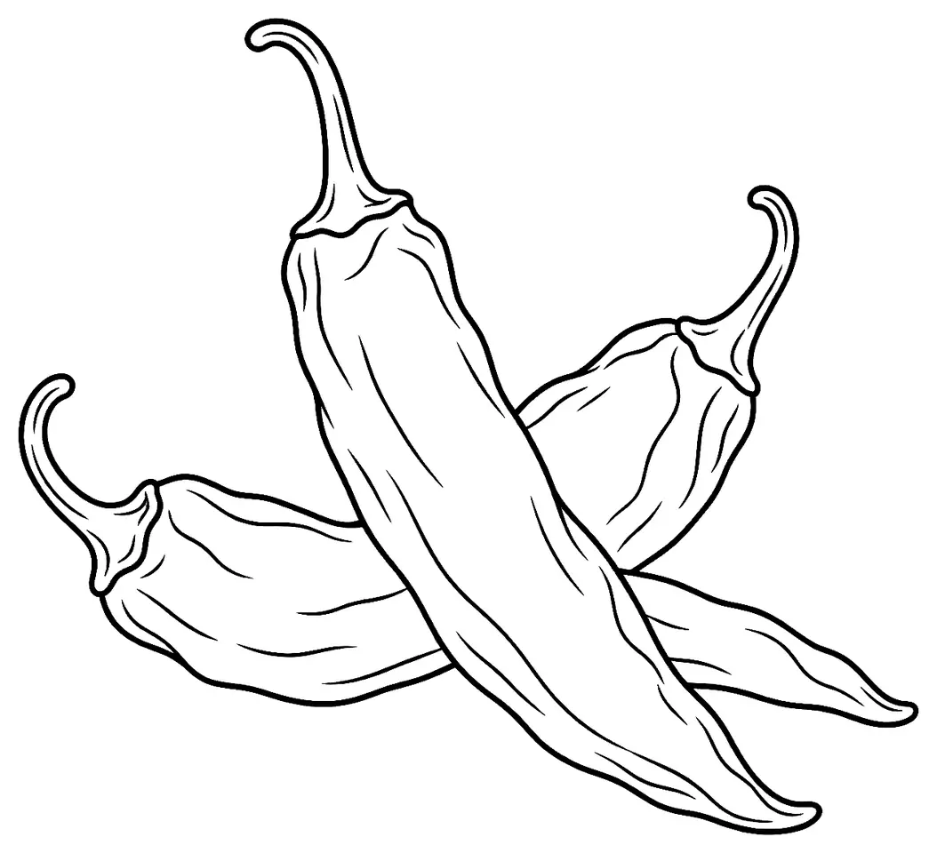Coloriage de Piment guajillo (piment ou poivron) : dessin au trait noir à colorier