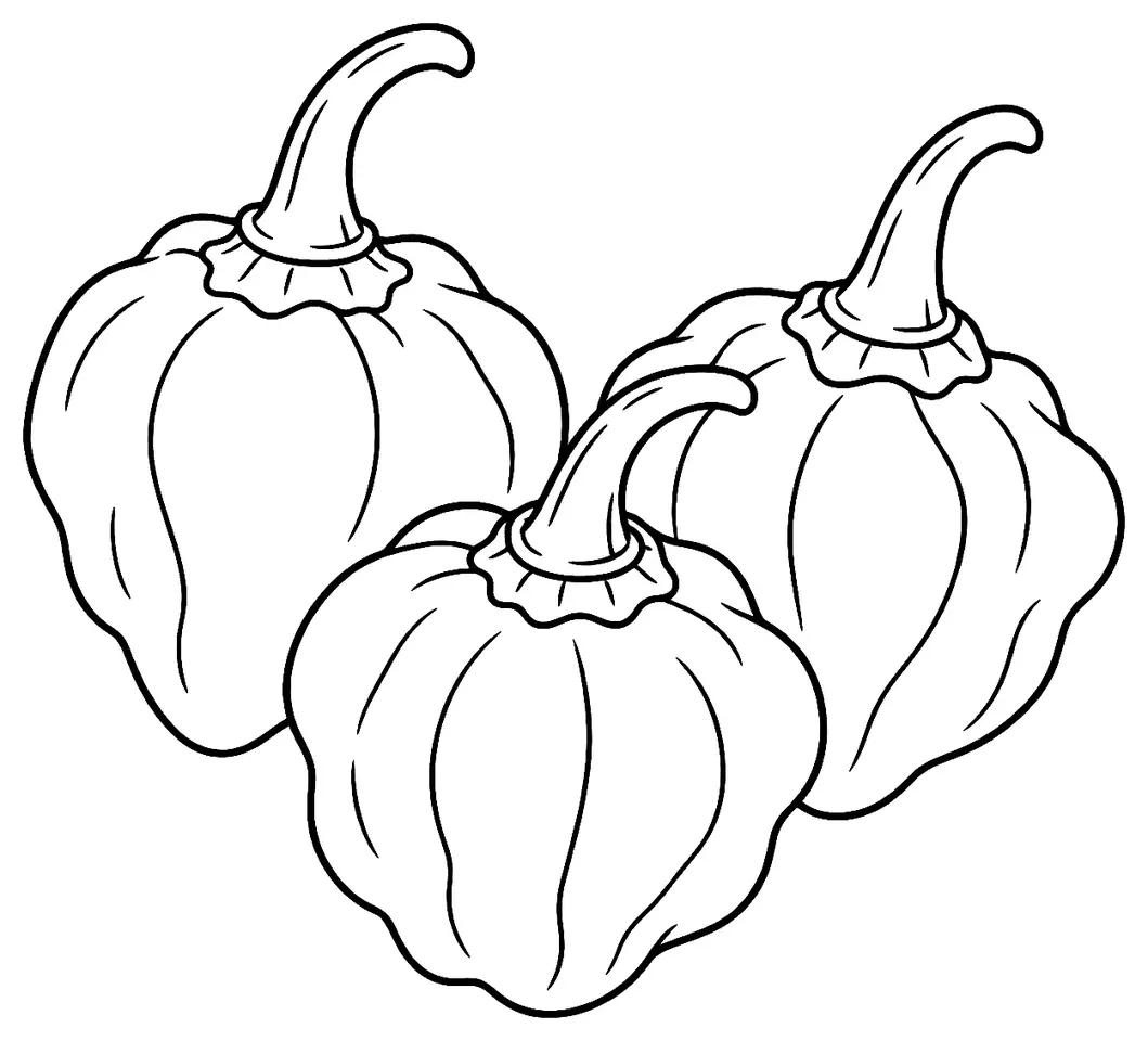 Coloriage de Scotch bonnet : dessin au trait noir à colorier
