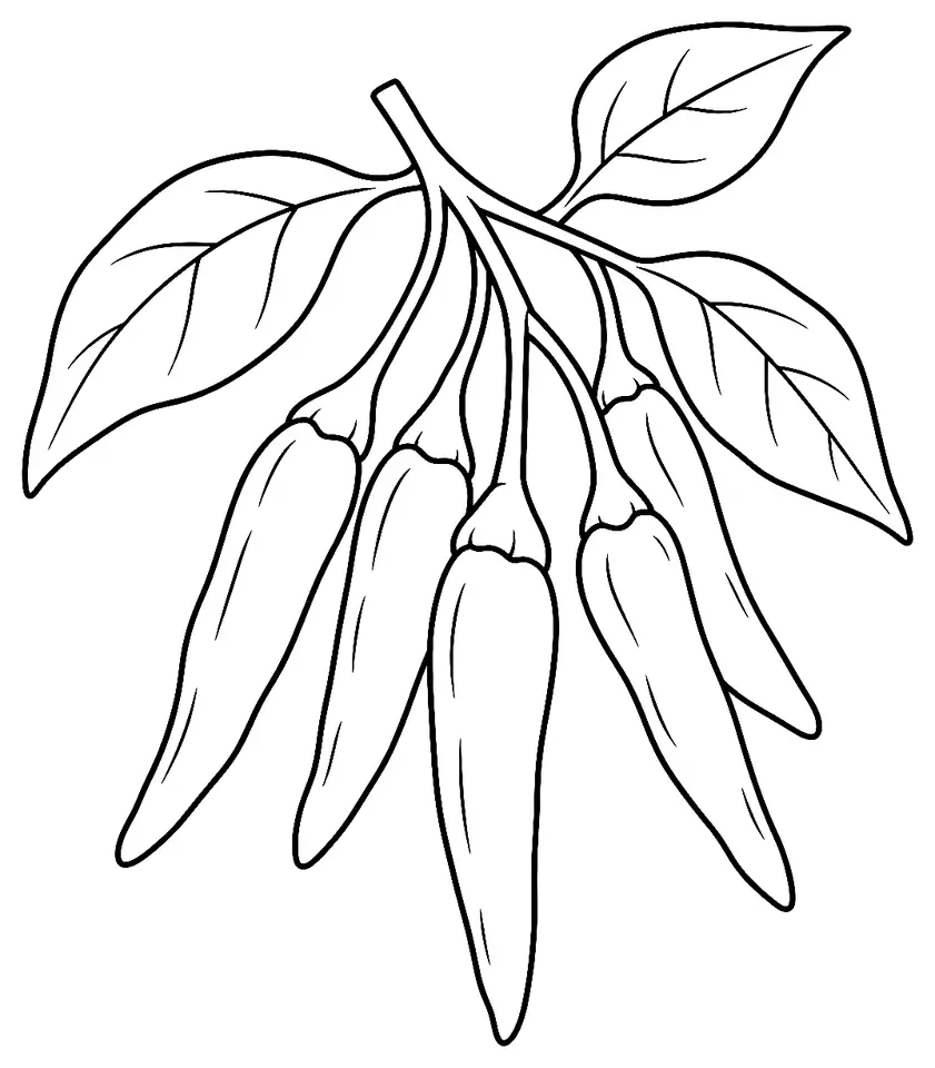 Coloriage de Xiao mi la (piment ou poivron) : dessin au trait noir à colorier