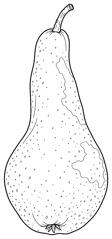 Coloriage de Abbé Fétel (poire) : dessin au trait noir à colorier
