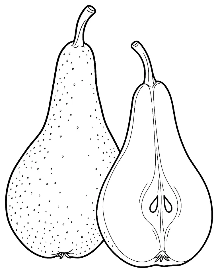 Coloriage de Beurré Bosc : dessin au trait noir à colorier