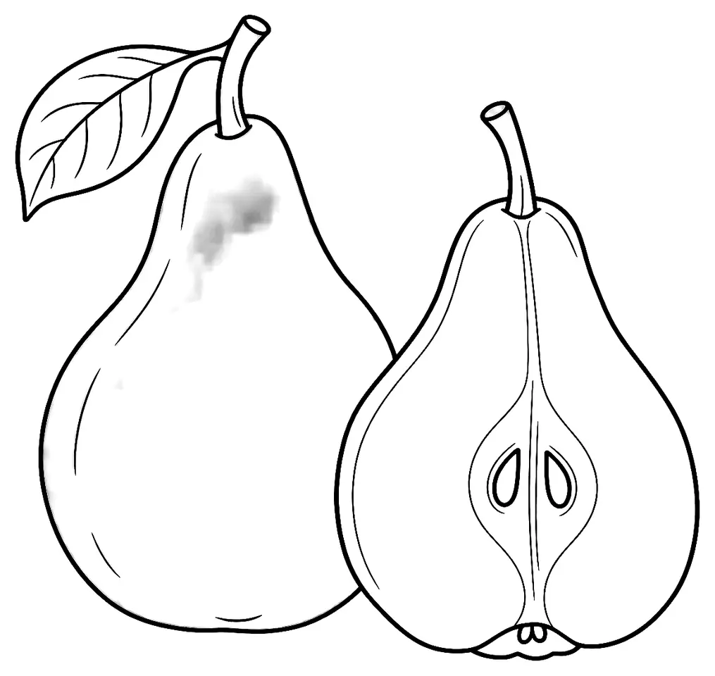 Coloriage de Bon-Chrétien Williams (poire) : dessin au trait noir à colorier