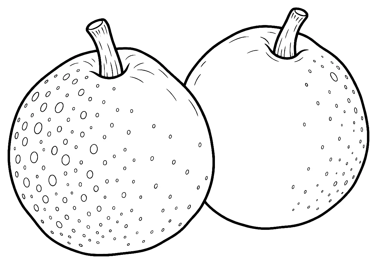 Coloriage de Caloet (poire) : dessin au trait noir à colorier