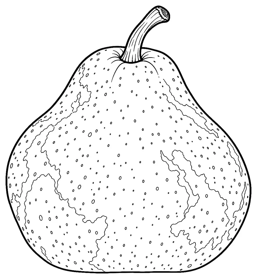 Coloriage de Catillac (poire) : dessin au trait noir à colorier