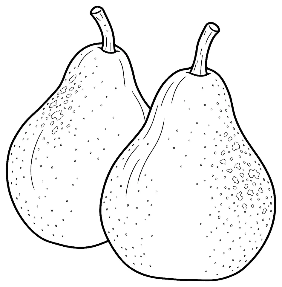 Coloriage de Doyenné du Comice (poire) : dessin au trait noir à colorier