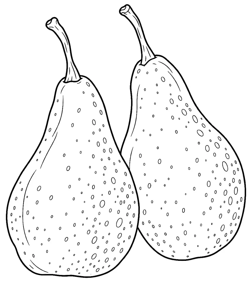 Coloriage de Louise-Bonne d’Avranches (poire) : dessin au trait noir à colorier