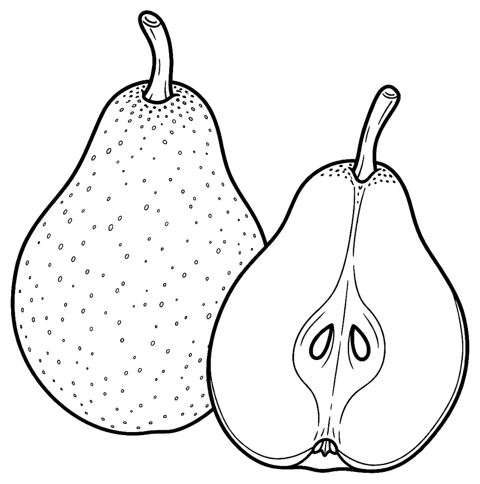 Coloriage de Pêra Rocha do Oeste (poire) : dessin au trait noir à colorier