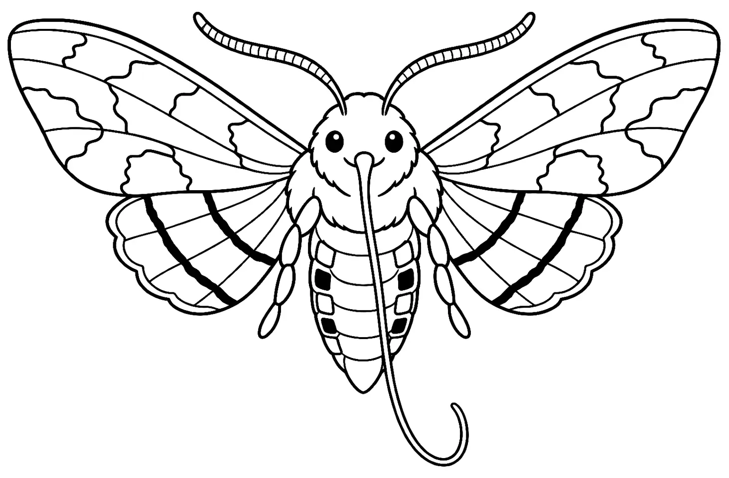 Coloriage de Sphinx du liseron : dessin au trait noir à colorier