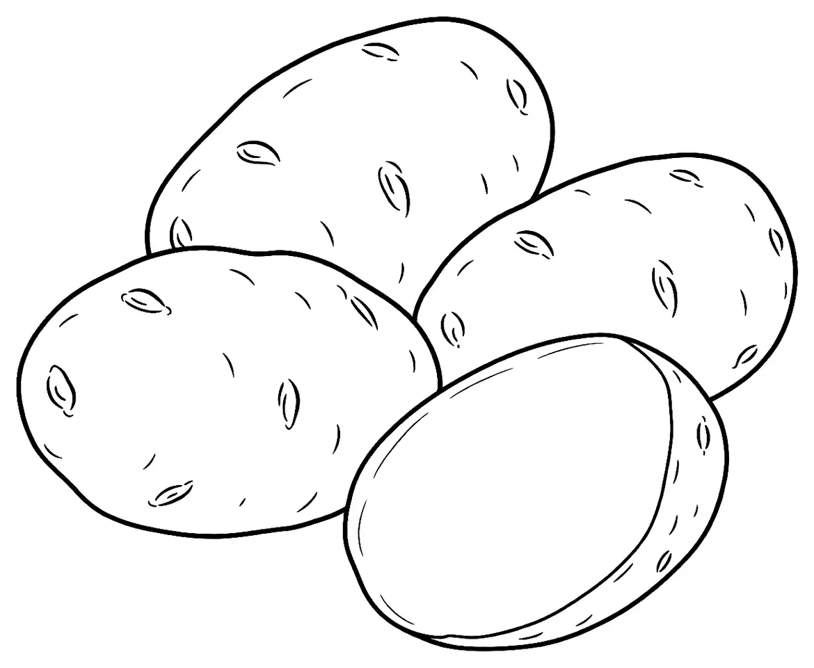Coloriage de Pompadour (pomme de terre) : dessin au trait noir à colorier