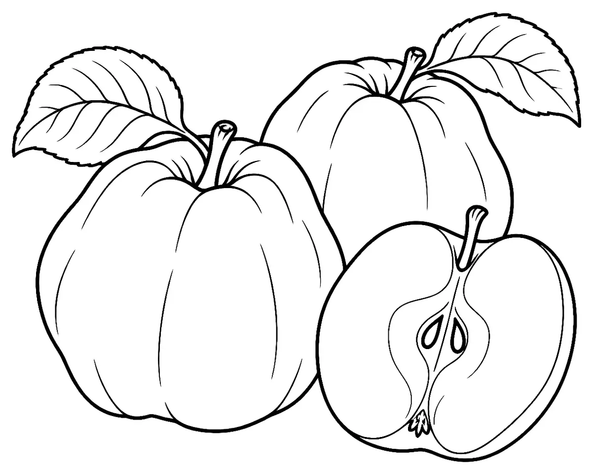 Coloriage de Calville blanc d’hiver : dessin au trait noir à colorier
