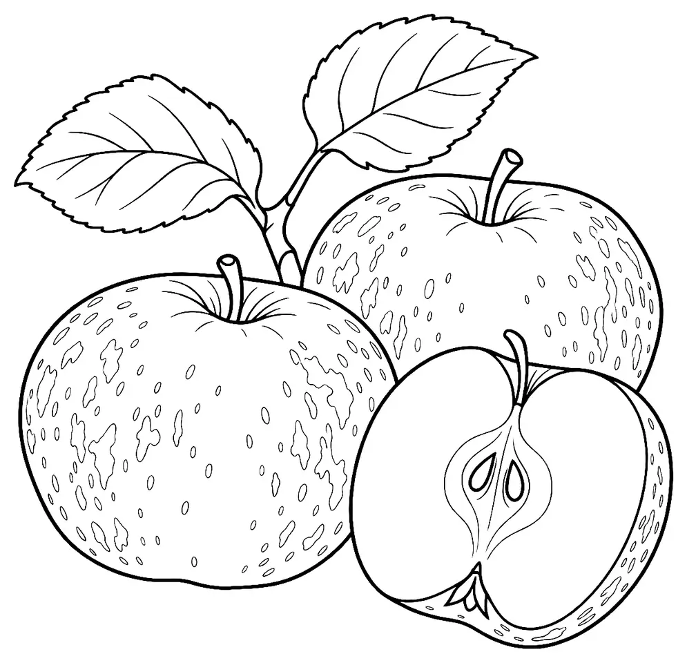 Coloriage de Dumelow’s Seedling : dessin au trait noir à colorier