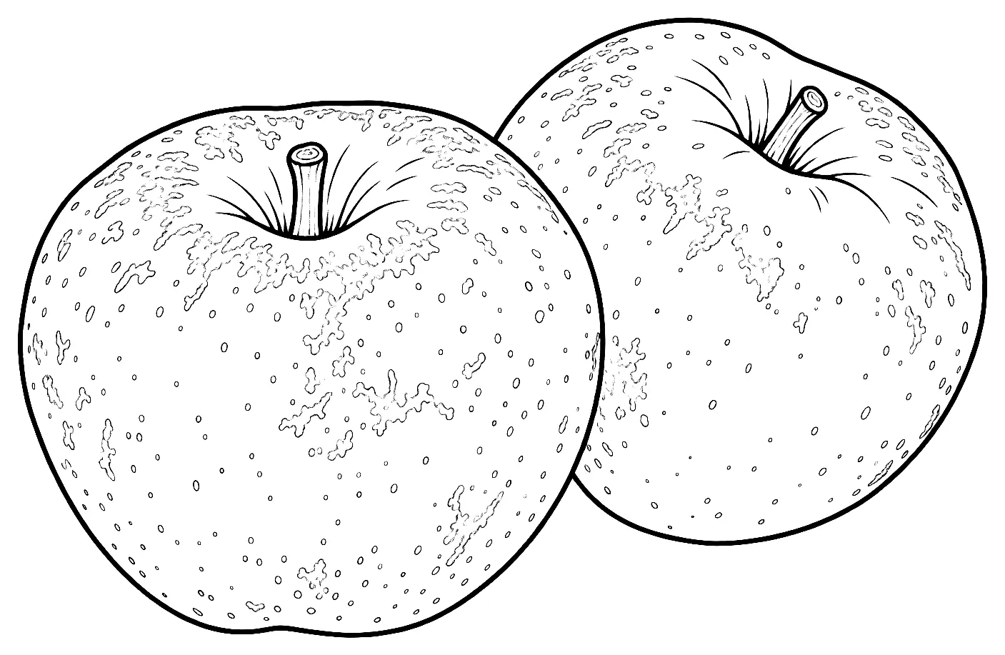 Coloriage de Reinette du Canada (pomme) : dessin au trait noir à colorier