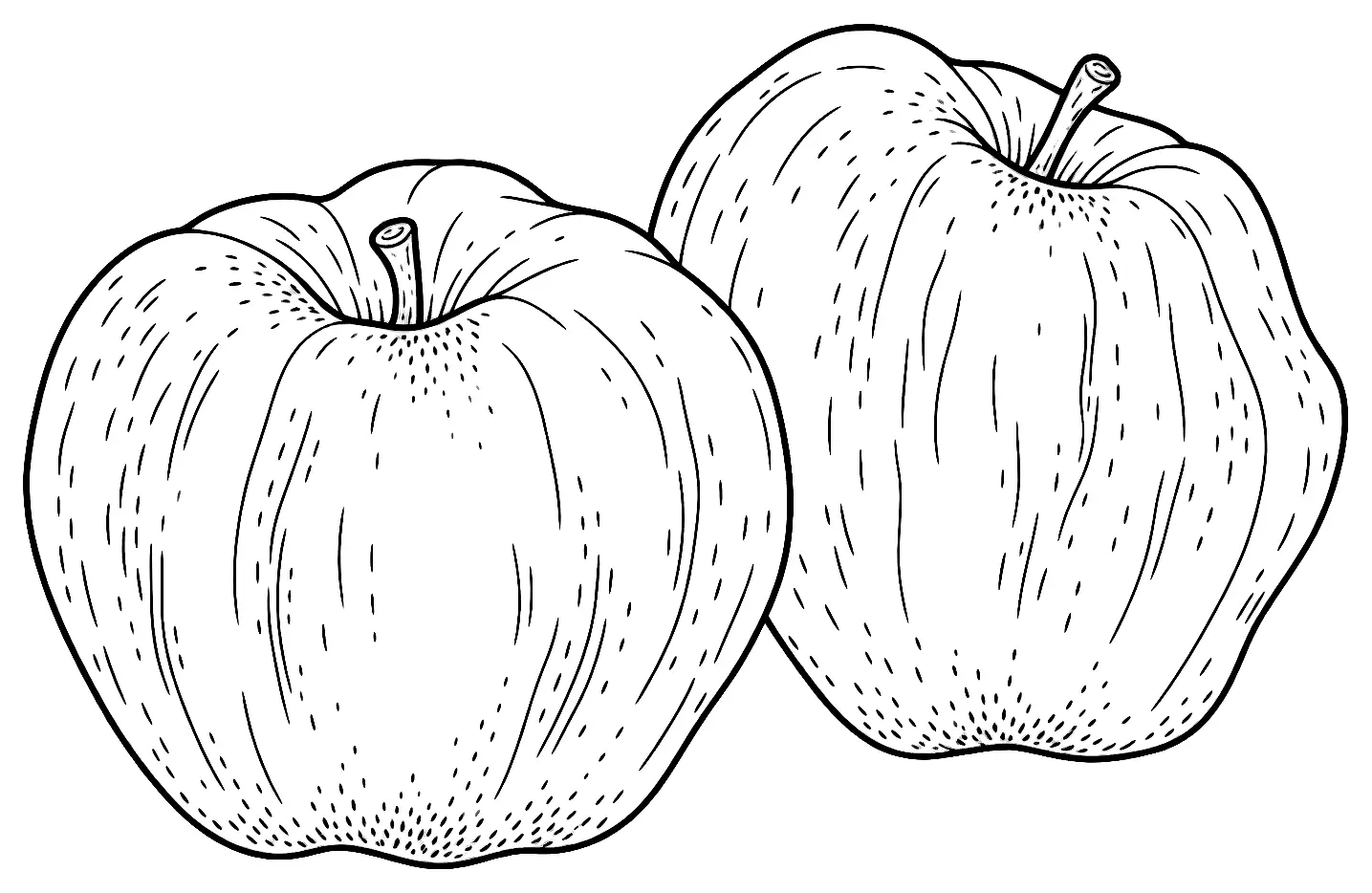 Coloriage de Ribston (pomme) : dessin au trait noir à colorier