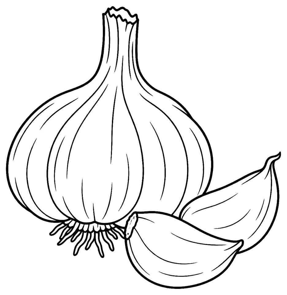 Coloriage de Ail : dessin au trait noir à colorier