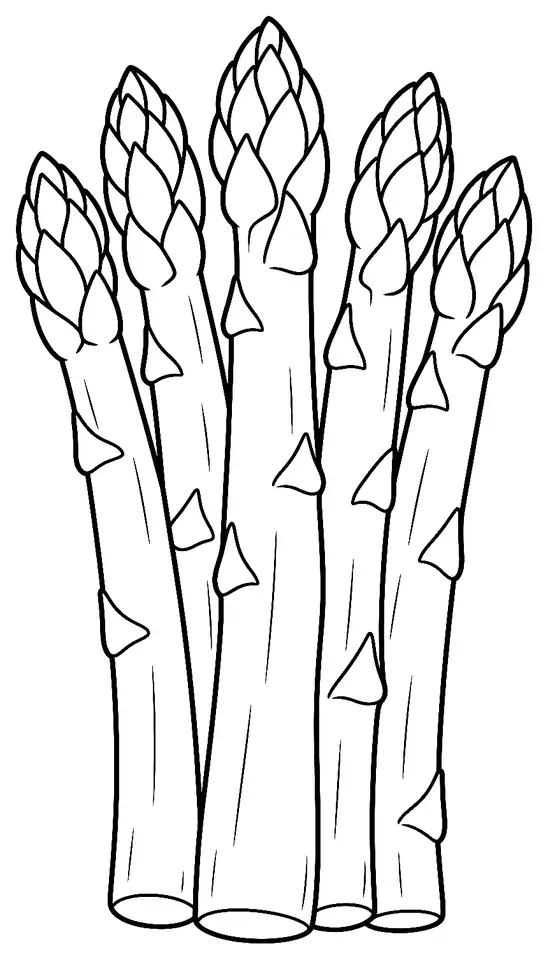 Coloriage de Asperge : dessin au trait noir à colorier
