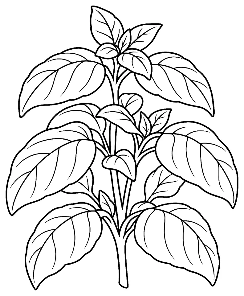 Coloriage de Basilic : dessin au trait noir à colorier