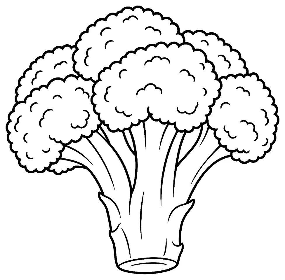 Coloriage de Brocoli : dessin au trait noir à colorier