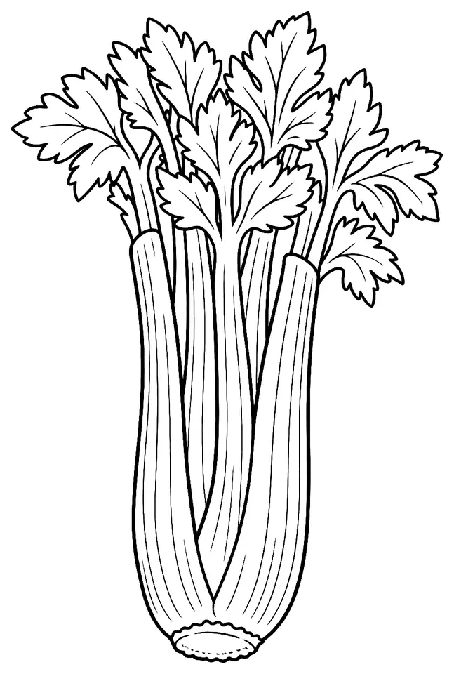 Coloriage de Céleri : dessin au trait noir à colorier