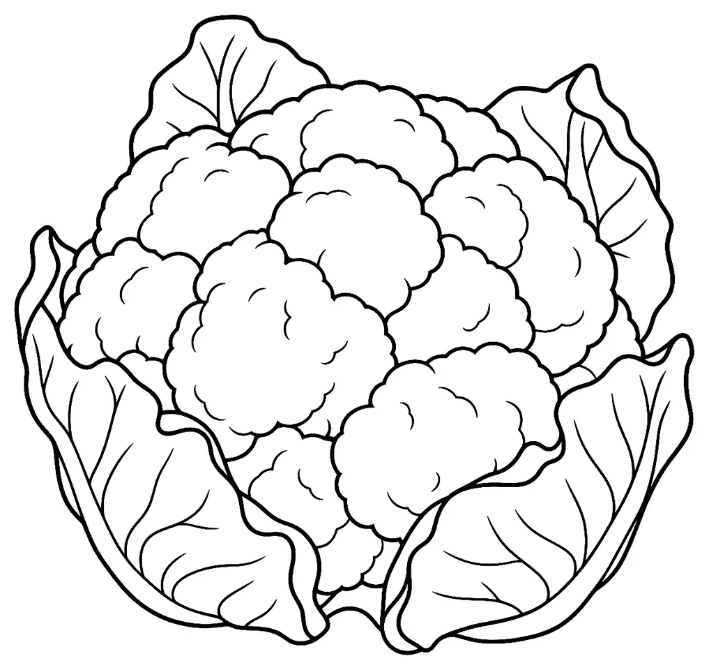 Coloriage de Chou-fleur : dessin au trait noir à colorier