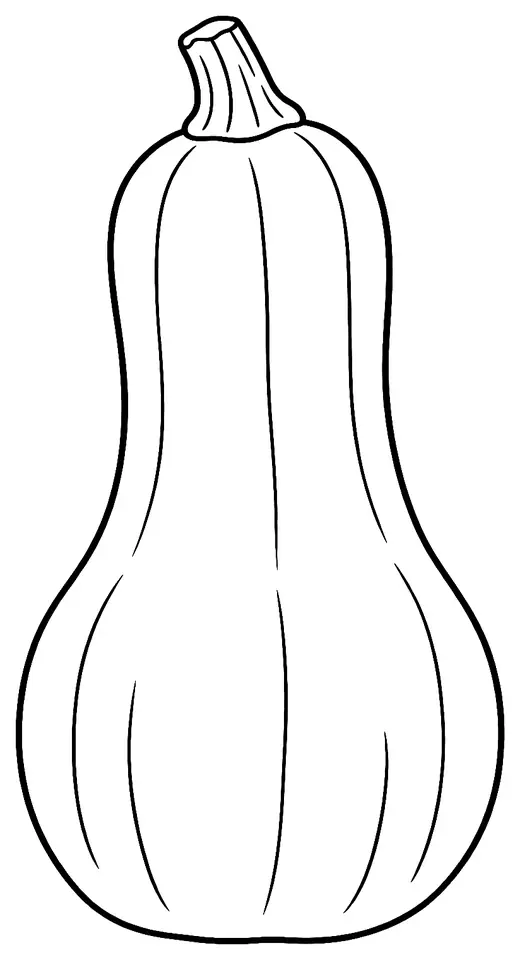 Coloriage de Courge butternut : dessin au trait noir à colorier