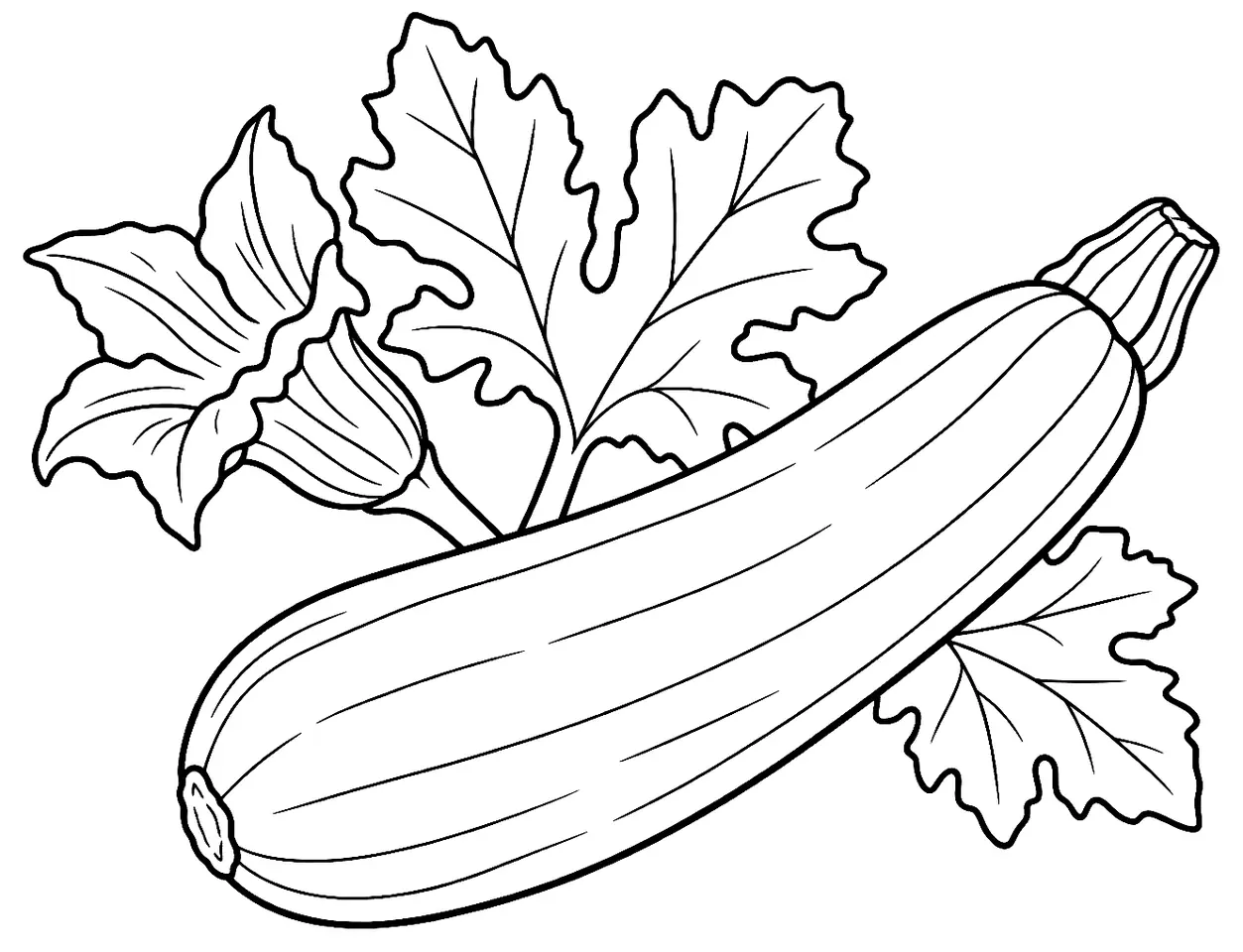 Coloriage de Courgette : dessin au trait noir à colorier