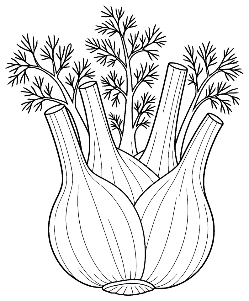 Coloriage de Fenouil : dessin au trait noir à colorier