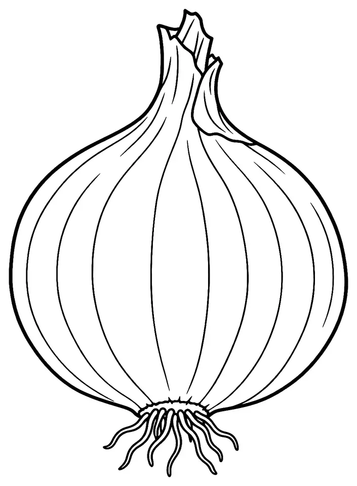 Coloriage de Oignon : dessin au trait noir à colorier