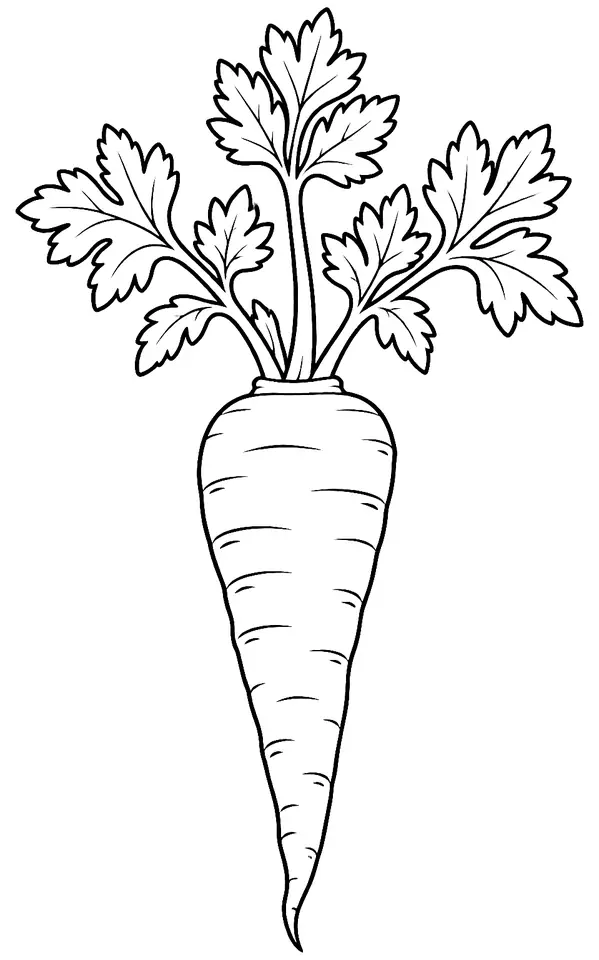 Coloriage de Panais : dessin au trait noir à colorier