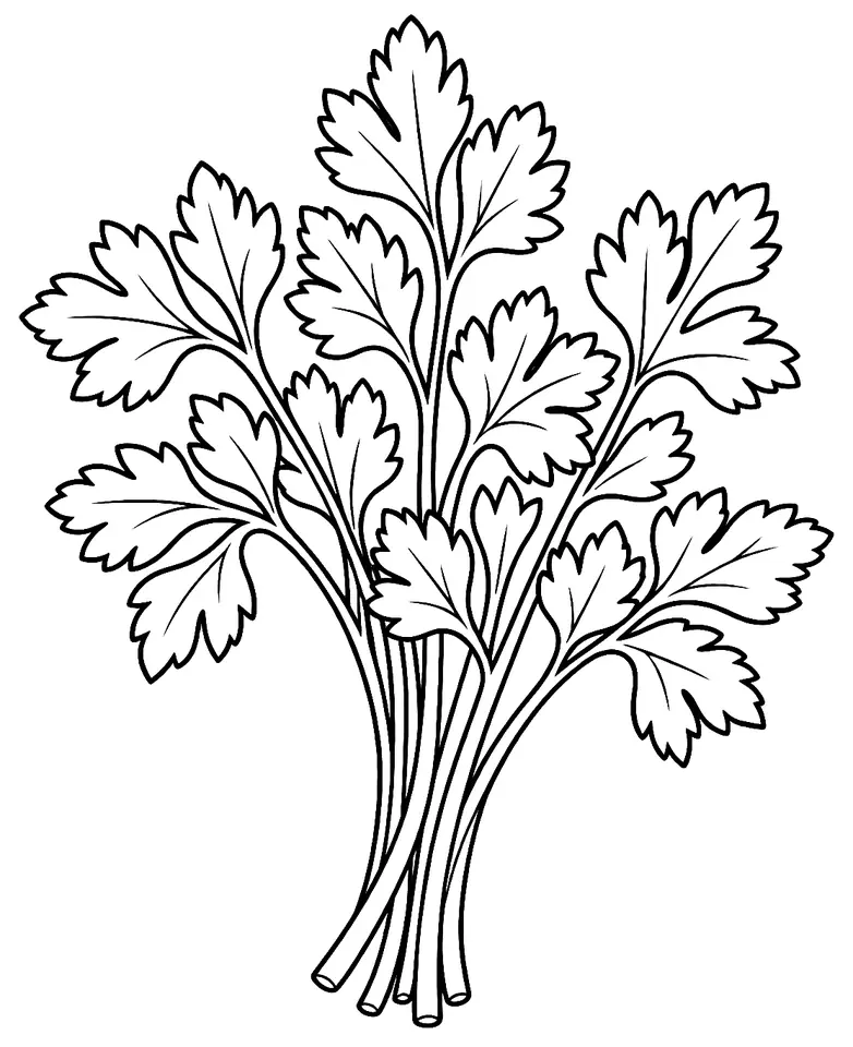 Coloriage de Persil : dessin au trait noir à colorier