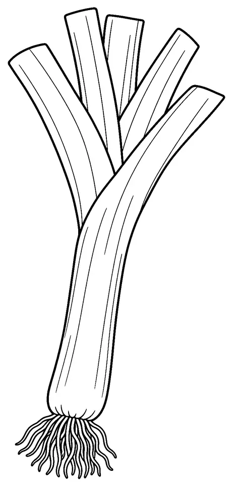 Coloriage de Poireau : dessin au trait noir à colorier