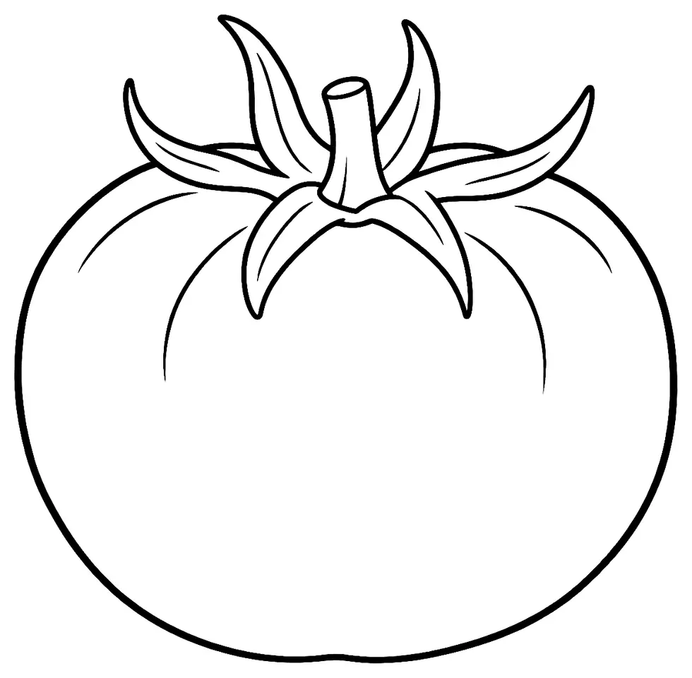 Coloriage de Tomate (plante) : dessin au trait noir à colorier