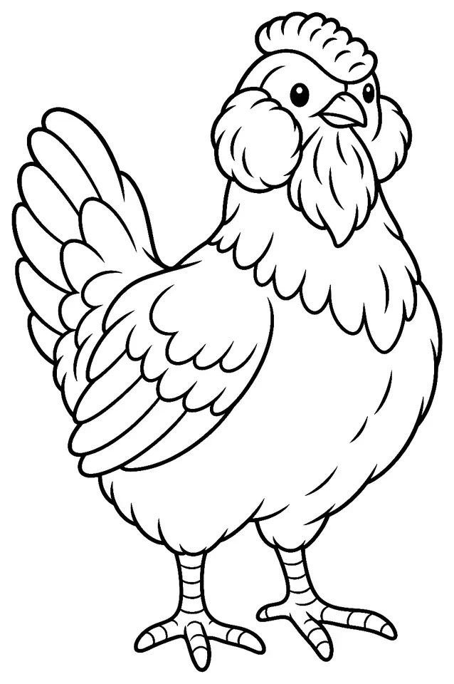Coloriage de Appenzelloise barbue : dessin au trait noir à colorier