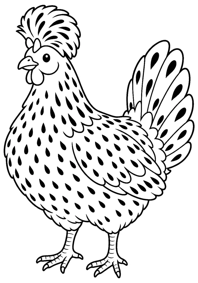 Coloriage de Appenzelloise huppée : dessin au trait noir à colorier