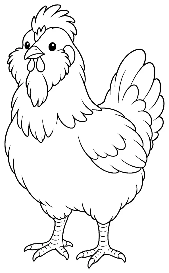 Coloriage de Poule de Polverara : dessin au trait noir à colorier