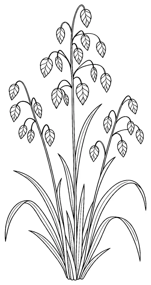 Coloriage de Brize intermédiaire : dessin au trait noir à colorier
