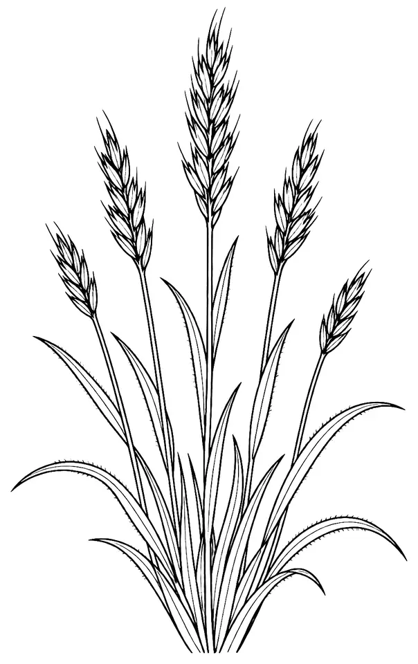 Coloriage de Brome dressé : dessin au trait noir à colorier