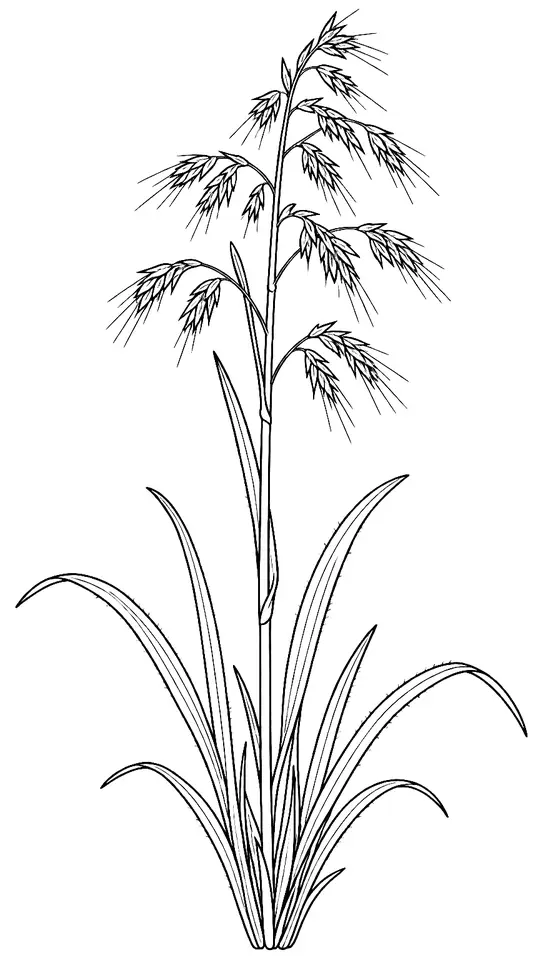 Coloriage de Fromental : dessin au trait noir à colorier