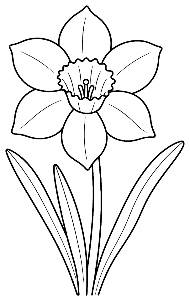 Coloriage de Narcisse des poètes (plante des prairies) : dessin au trait noir à colorier