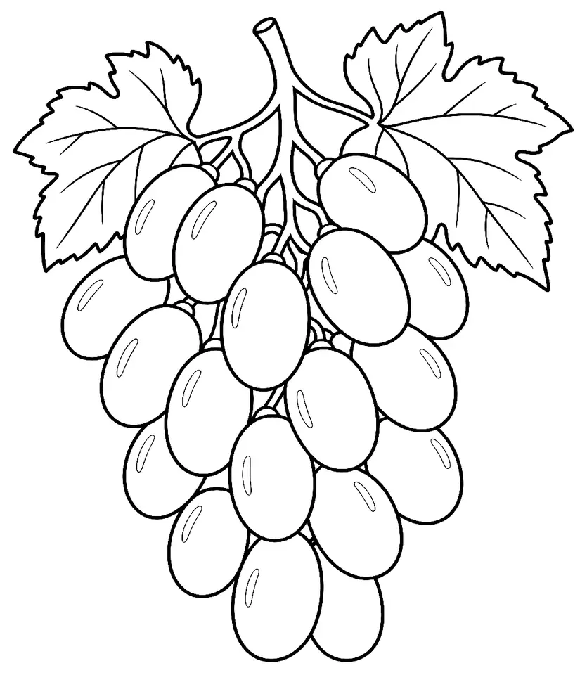 Coloriage de Cotton Candy : dessin au trait noir à colorier