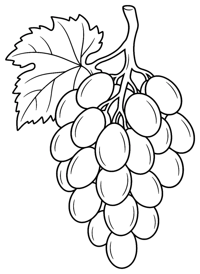 Coloriage de Magdeleine noire des Charentes : dessin au trait noir à colorier