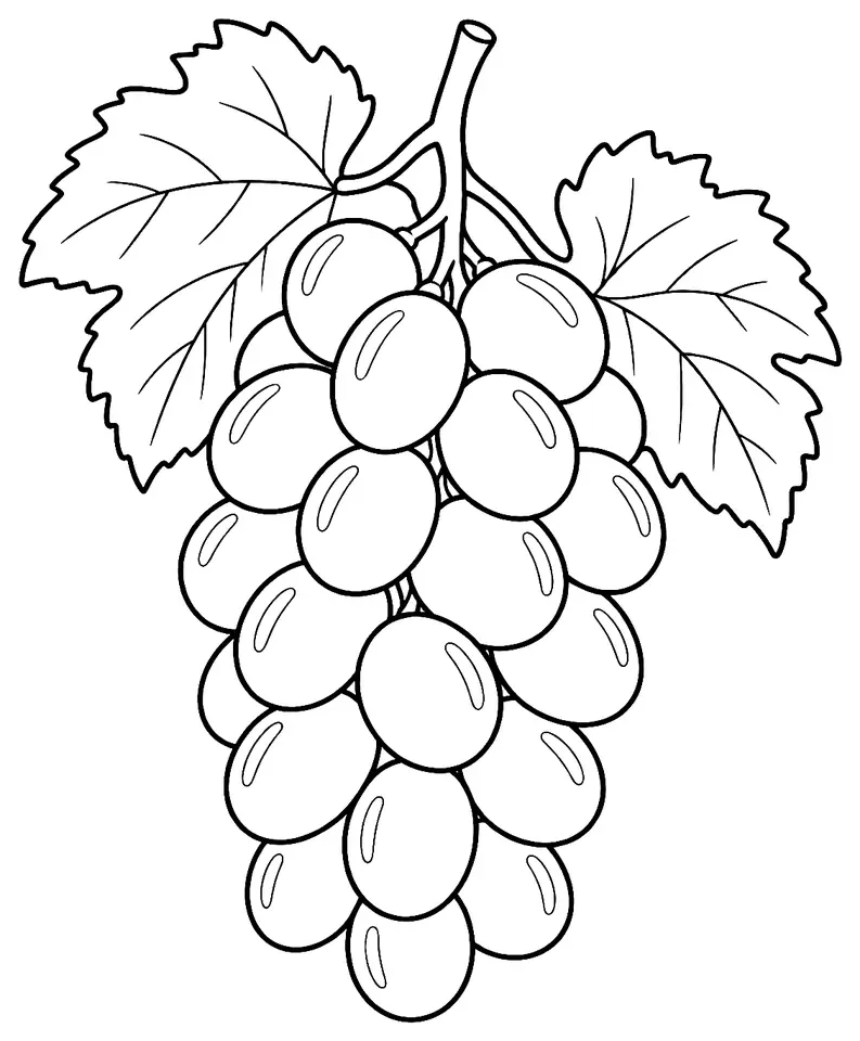 Coloriage de Shine Muscat : dessin au trait noir à colorier