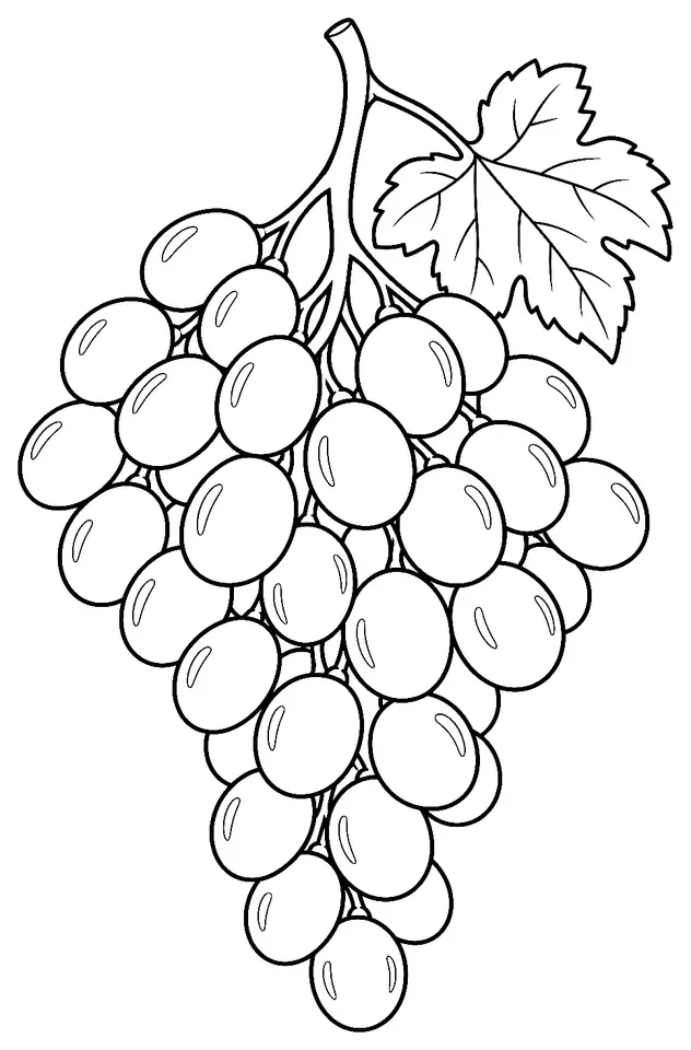 Coloriage de Thomcord : dessin au trait noir à colorier
