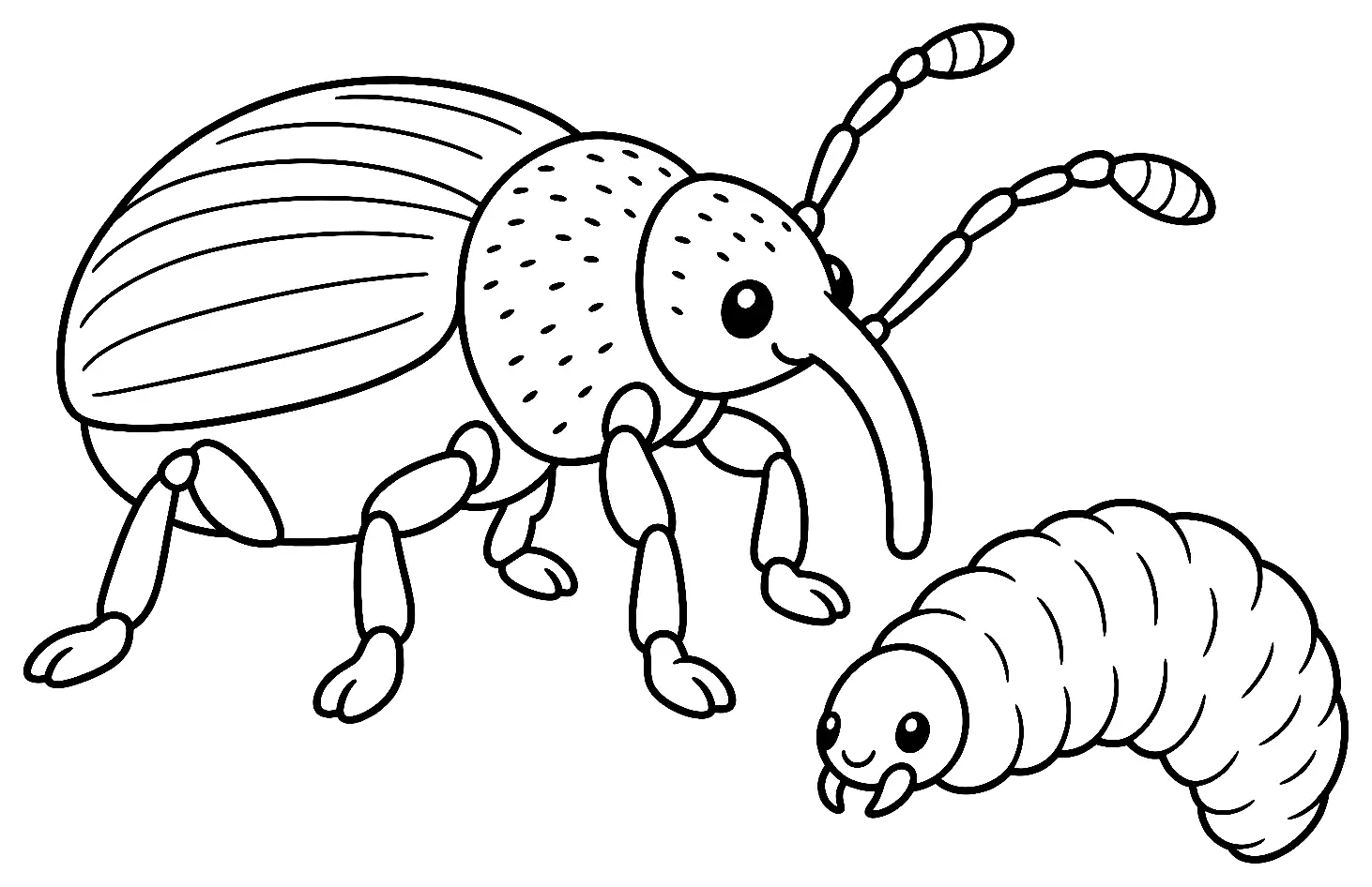Coloriage de Otiorhynque : dessin au trait noir à colorier